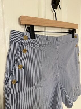 Banana Republic Blue and White Striped Women’s Side-Button Shorts